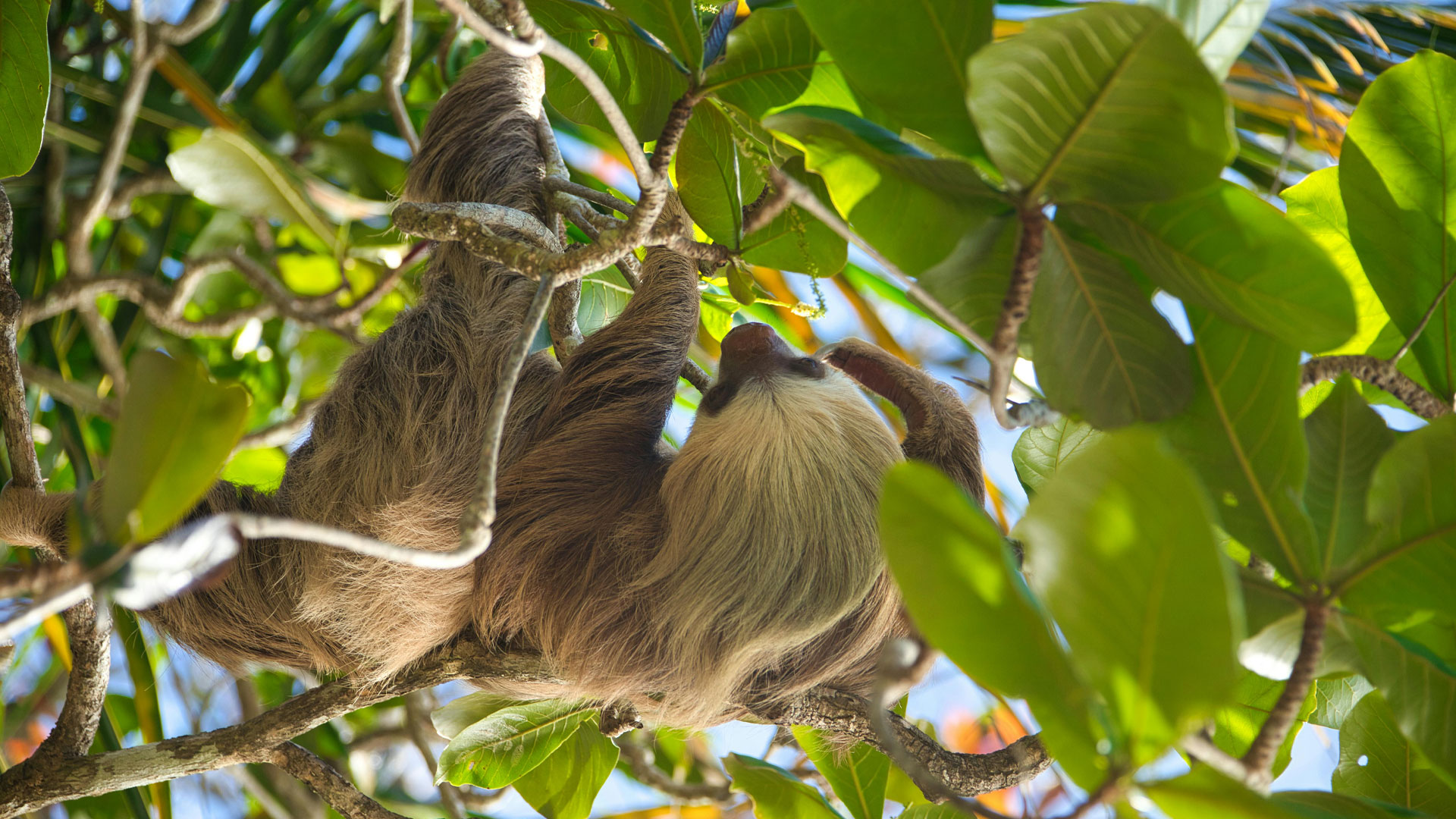 Explore Costa Rica
