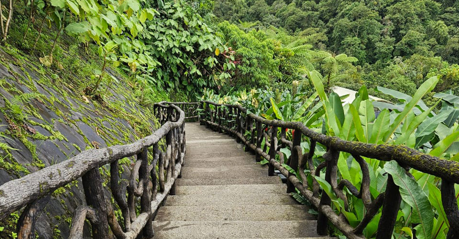 jardinez-paz-2
